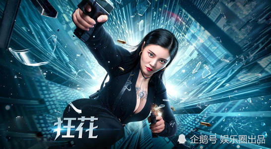 奈耶诺德大学商业管理文凭证书